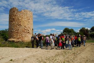 Lee más sobre el artículo Pla Urbanístic (POUM)